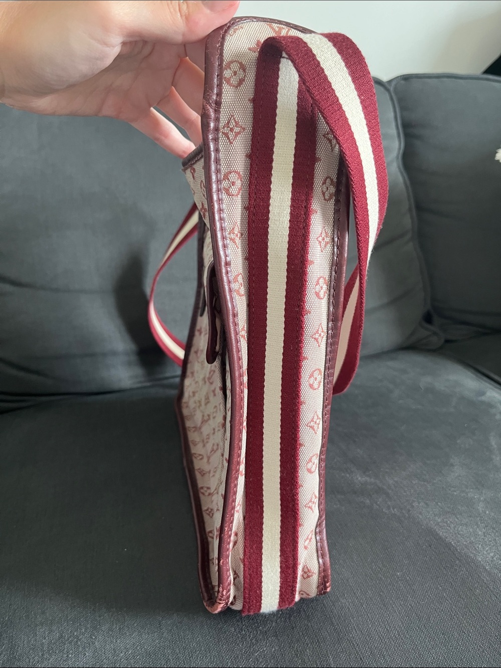Louis Vuitton Pink and Burgundy Monogram Crossbody Bag - Picture 6 of 11